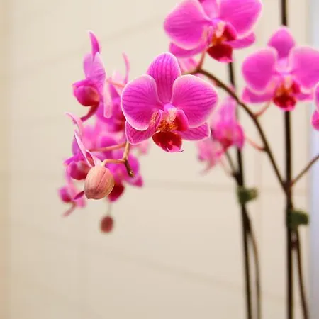 וילה Salobre Master And Sun *