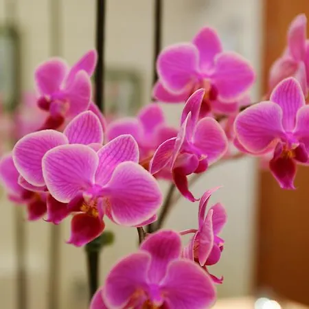 Βίλα Salobre Master And Sun